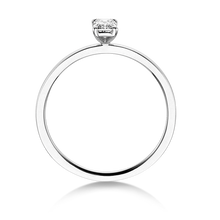 Lade das Bild in den Galerie-Viewer, 31401 - 4 Krappen mit Emerald
